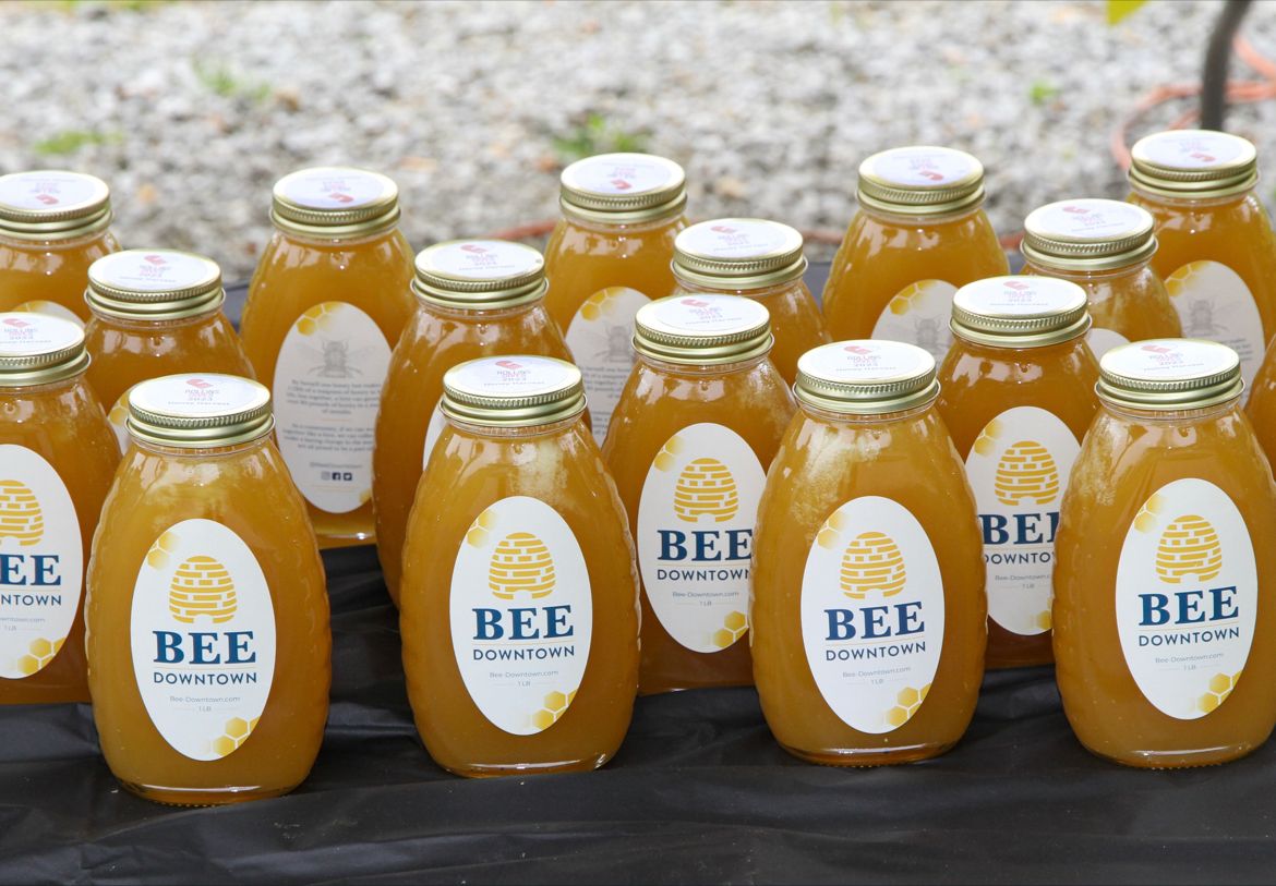 Buzzing with Purpose: R Collective ERG Bridges Generations Through Local Honey Harvest and Conservation Education