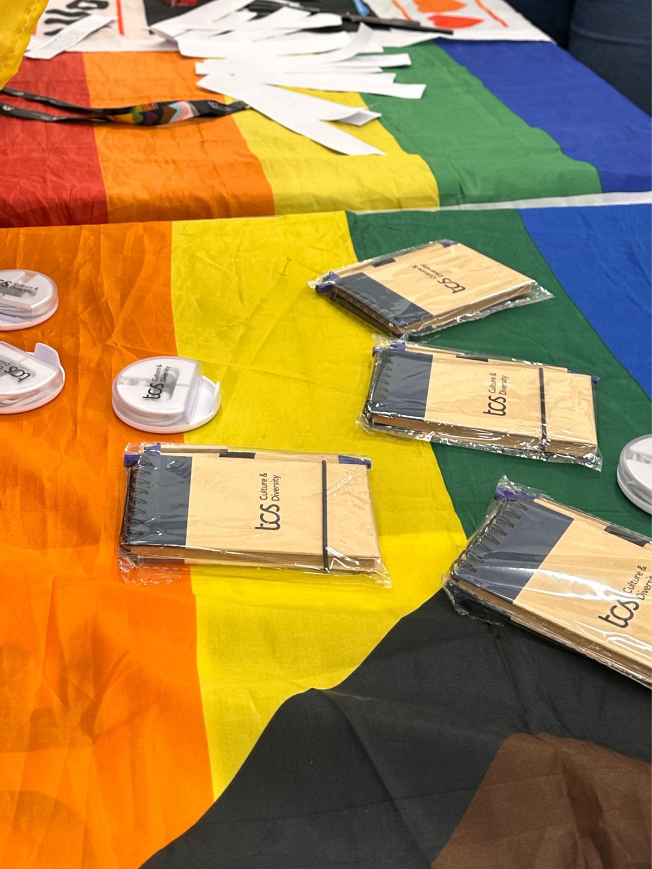 Tata Consultancy Services LGBTQIA+ ERG Qolors Celebrates Diversity Through Trivia and Education Sessions in Mexico detail 8