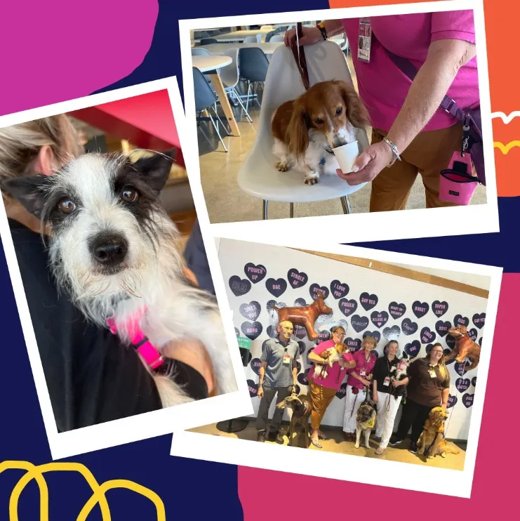 Match's Dallas Offices Host Therapy Dogs for Mental Health Awareness Month