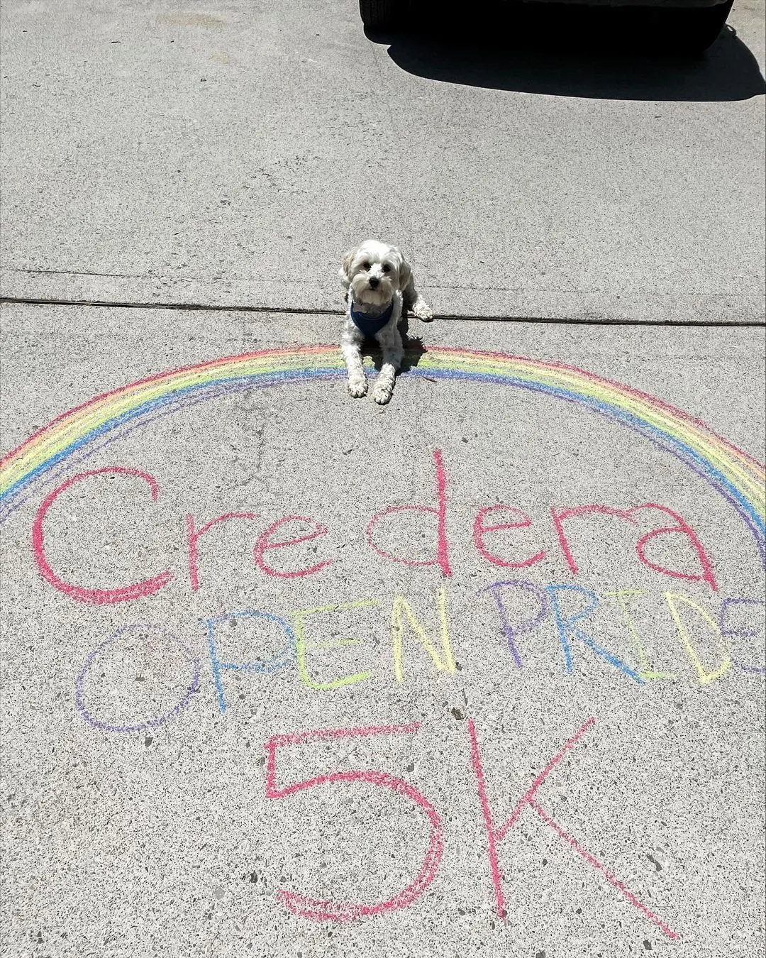 Credera LGBTQIA+ ERG Hosts Virtual 5K for Pride Month detail 2